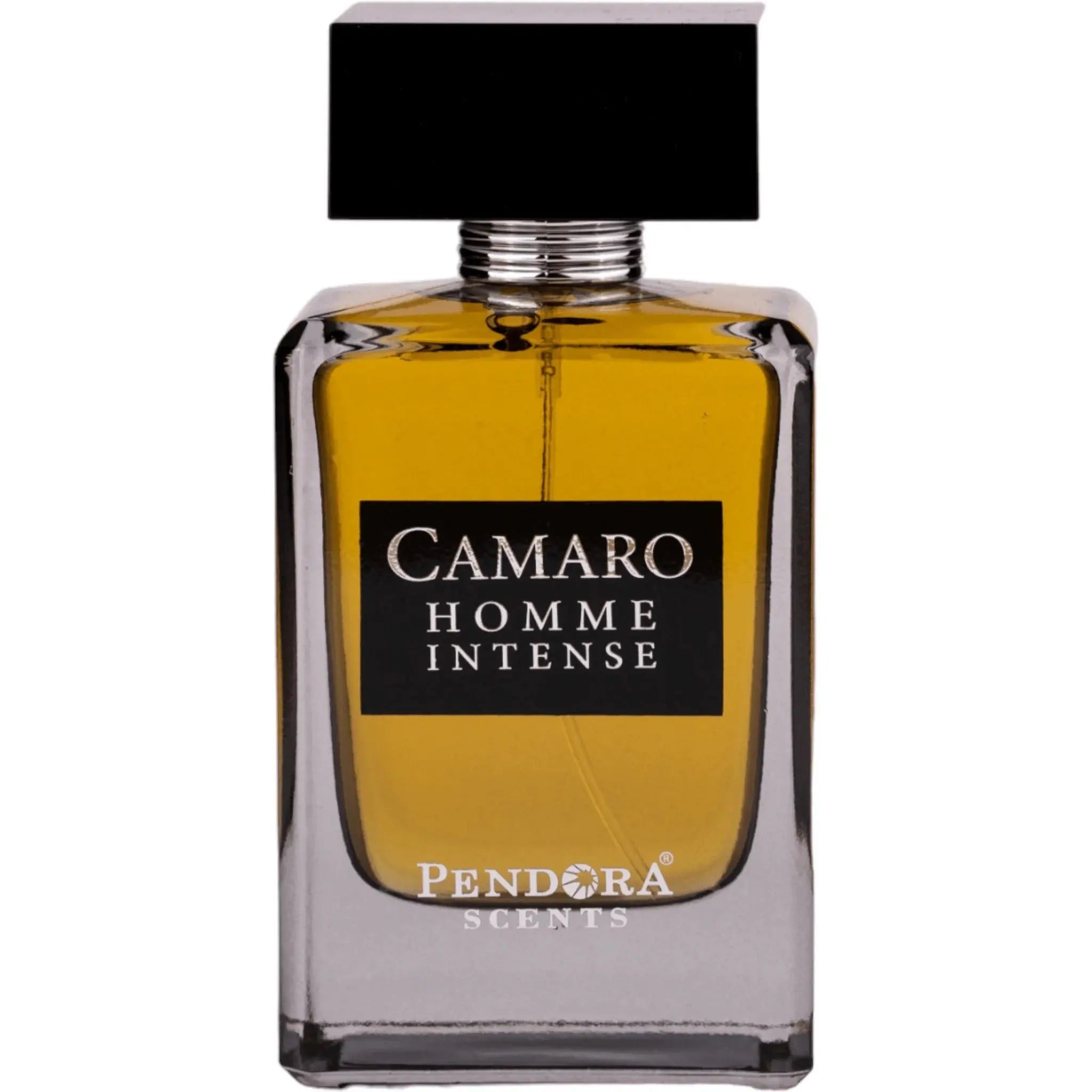 Camaro Homme Intense Perfume 100ml EDP Pendora Scents by Paris Corner