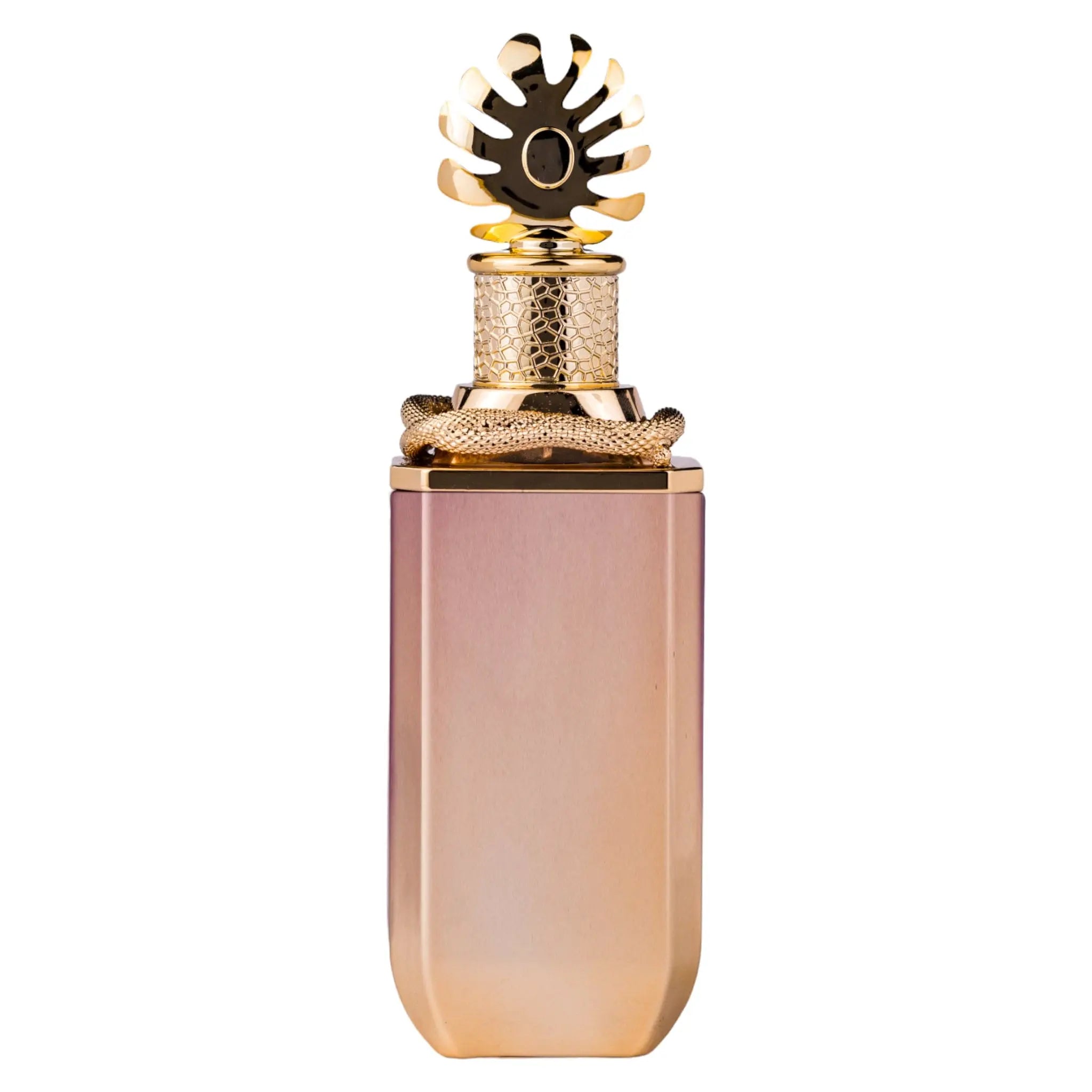 Ophidian Black Cherry Perfume 100ml EDP Paris Corner