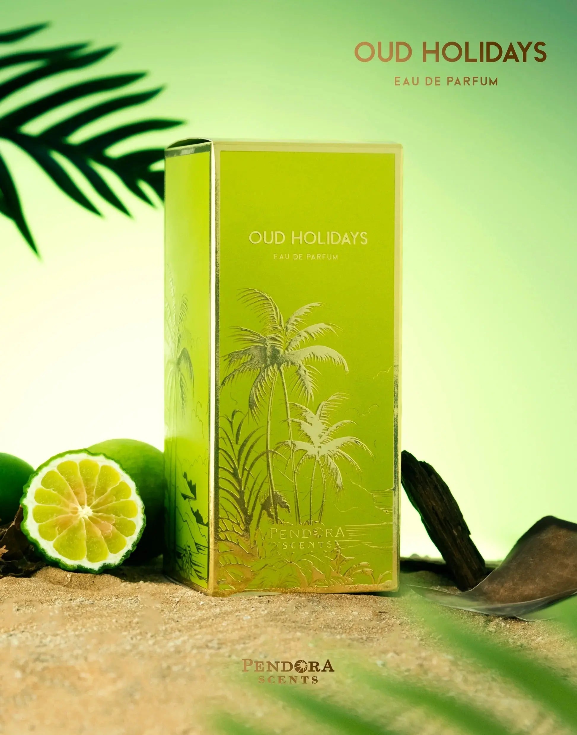 Oud Holidays Perfume 100ml EDP Pendora Scents by Paris Corner