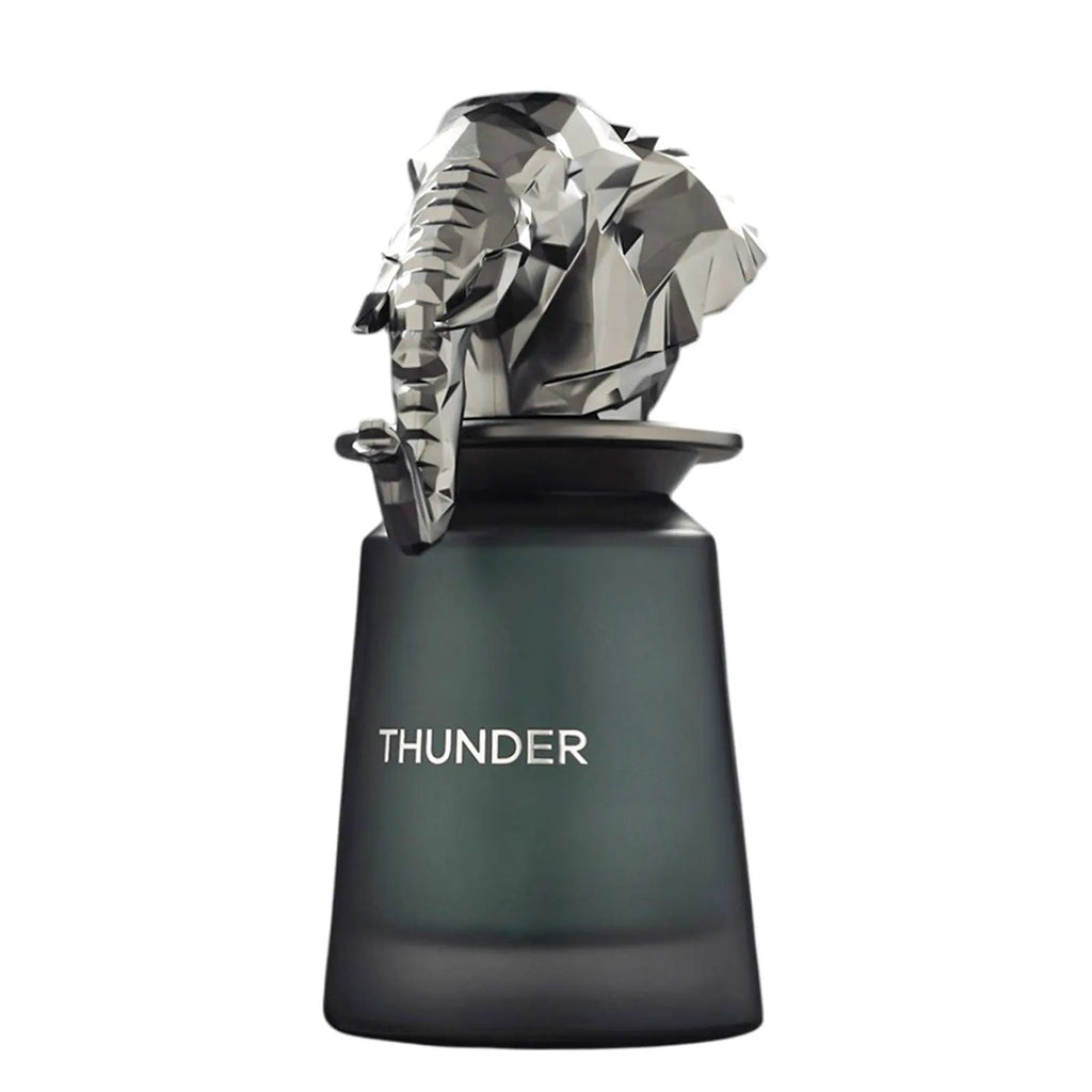 Thunder Perfume 100ml EDP French Avenue