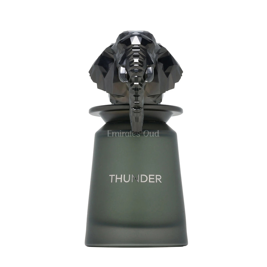 Thunder Perfume 100ml EDP French Avenue