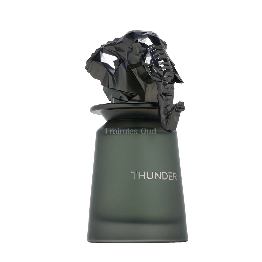 Thunder Perfume 100ml EDP French Avenue