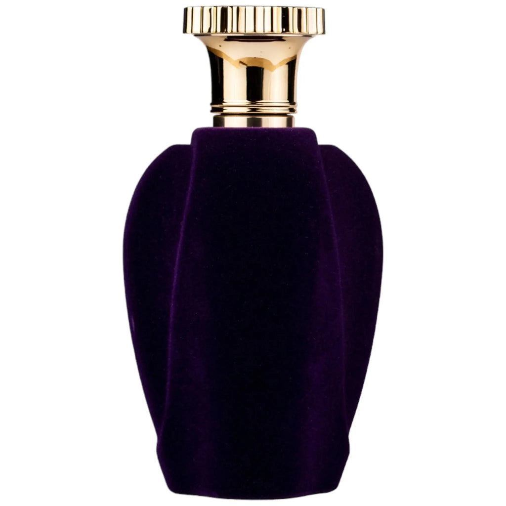 Voux Violette Perfume 100ml EDP Emir by Paris Corner